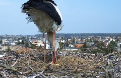 IMG_1496.jpeg
