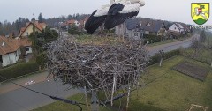 IMG_1487.jpeg