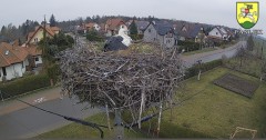 IMG_1510.jpeg