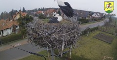 IMG_1513.jpeg