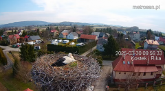 2025-03-30 21_10_36-Gniazdo bocianie _Kostek i Rika_ - Podkarpacie Kostarowce - YouTube – Brave.png