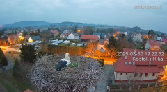 2025-03-30 21_11_21-Gniazdo bocianie _Kostek i Rika_ - Podkarpacie Kostarowce - YouTube – Brave.png