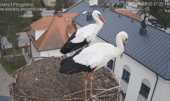 IMG_5143.jpeg