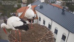 IMG_5159.jpeg