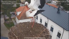 IMG_5163.jpeg