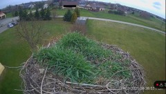 IMG_5167.jpeg