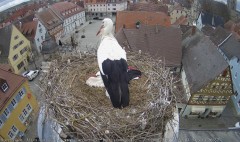 IMG_5196.jpeg