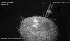 IMG_5150.jpeg