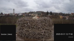 2025-03-31 20_31_07-Bociany Biecz - YouTube - Maxthon.png
