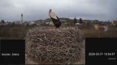 2025-03-31 20_31_20-Bociany Biecz - YouTube - Maxthon.png