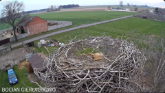 2025-03-31 20_47_57-Bocian Gierłachowo 2025 - YouTube - Maxthon.png