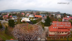 2025-03-31 21_04_33-Gniazdo bocianie _Kostek i Rika_ - Podkarpacie Kostarowce - YouTube - Maxthon.png
