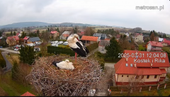 2025-03-31 21_04_44-Gniazdo bocianie _Kostek i Rika_ - Podkarpacie Kostarowce - YouTube - Maxthon.png