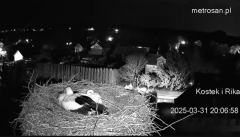 2025-03-31 21_04_59-Gniazdo bocianie _Kostek i Rika_ - Podkarpacie Kostarowce - YouTube - Maxthon.png