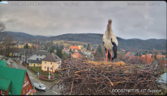 2025-03-31 22_24_45-Bocianie Gniazdo Podgórzyn - Kamera na żywo - Live 2025 - YouTube - Maxthon.png