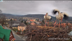 2025-03-31 22_25_28-Bocianie Gniazdo Podgórzyn - Kamera na żywo - Live 2025 - YouTube - Maxthon.png