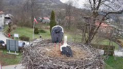 2025-03-31 22_50_04-Tyrawa Wołoska - gniazdo bocianie - YouTube - Maxthon.png