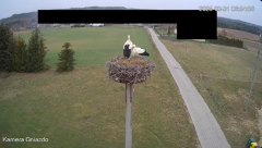 2025-03-31 22_56_25-Bociany Żabno - YouTube - Maxthon.png