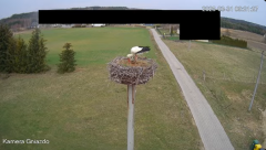 2025-03-31 22_55_49-Bociany Żabno - YouTube - Maxthon.png