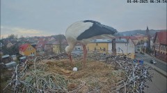IMG_2056.jpeg