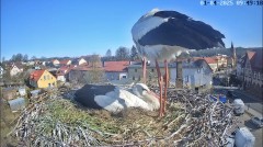 IMG_2057.jpeg