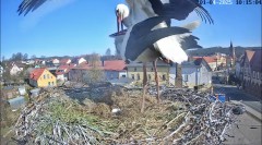 IMG_2058.jpeg
