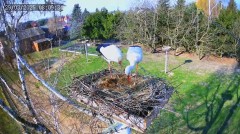 IMG_1411.jpeg