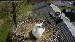 IMG_2155.jpeg
