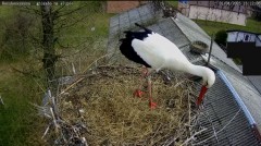 IMG_2180.jpeg