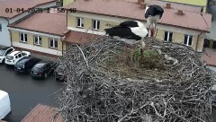 IMG_2101.jpeg