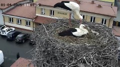 IMG_2104.jpeg