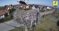 IMG_2122.jpeg