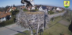 IMG_2128.jpeg