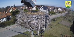 IMG_2130.jpeg