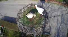 IMG_2080.jpeg