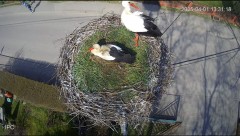 IMG_2086.jpeg