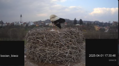 2025-04-01 18_24_52-Bociany Biecz - YouTube - Maxthon.png