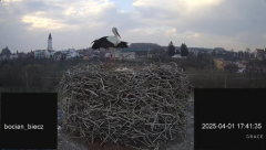 2025-04-01 18_25_50-Bociany Biecz - YouTube - Maxthon.png