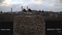 2025-04-01 18_26_09-Bociany Biecz - YouTube - Maxthon.png