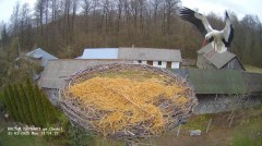 IMG_1856.jpeg
