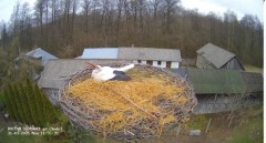 IMG_1865.jpeg