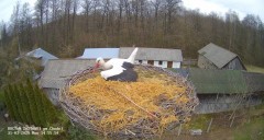 IMG_1869.jpeg