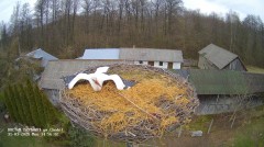 IMG_1873.jpeg