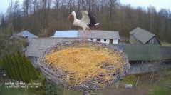 IMG_1884.jpeg