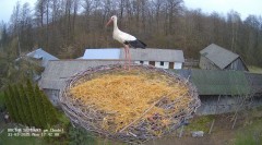 IMG_1886.jpeg