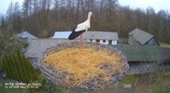 IMG_1889.jpeg