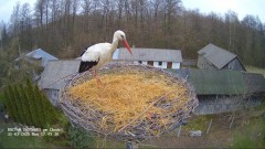 IMG_1894.jpeg