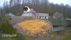 IMG_2133.jpeg