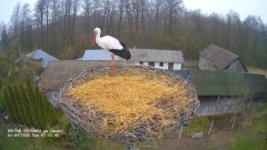 IMG_2135.jpeg