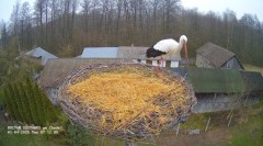 IMG_2136.jpeg